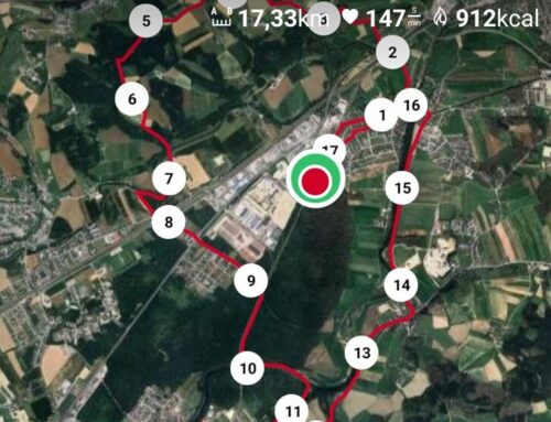 Die Freude war nur von kurzer Dauer… (16.11.2025)